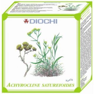 Achyrocline satureioides - čaj