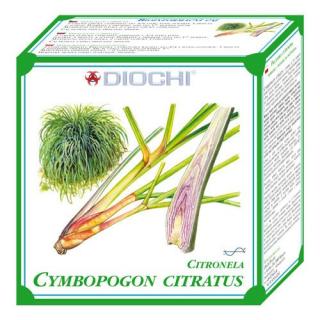 Cymbopogon citratus- čaj